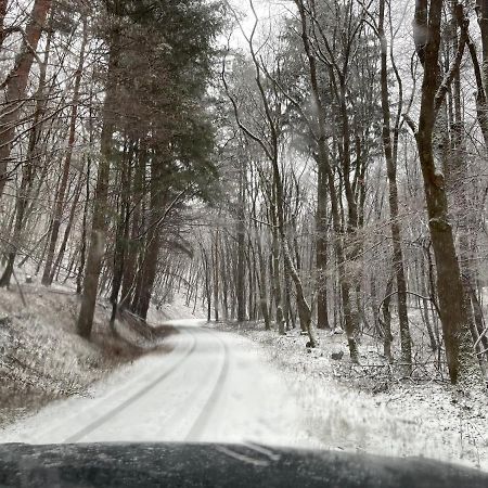 Hidegpataki Fakapu Vadaszhaz Abaújszántó Extérieur photo