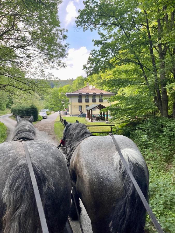 Hidegpataki Fakapu Vadaszhaz Abaújszántó Extérieur photo